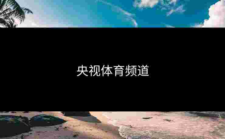 央视体育频道 央视体育频道