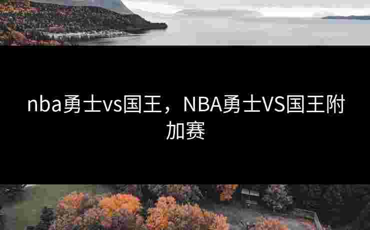 nba勇士vs国王，NBA勇士VS国王附加赛